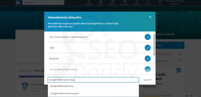 LinkedIn Profil Özelleştirme 2