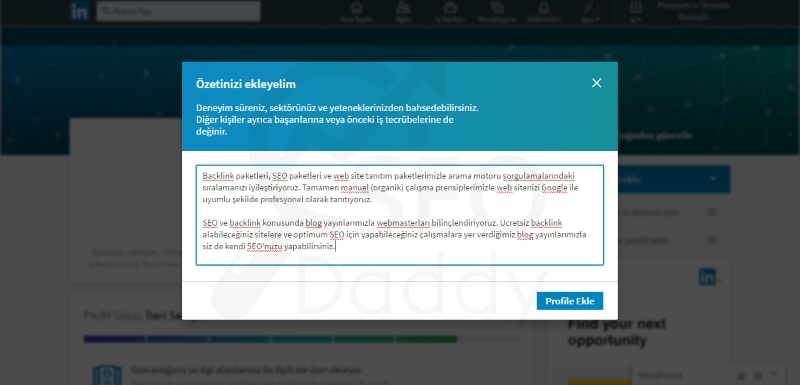 LinkedIn Profil Özelleştirme 3